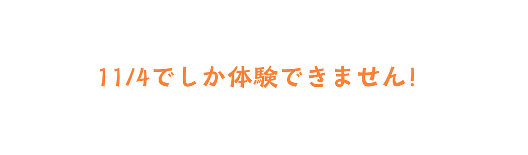 11 4でしか体験できません