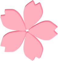 Sakura Blossom