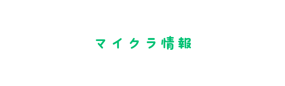 マイクラ情報